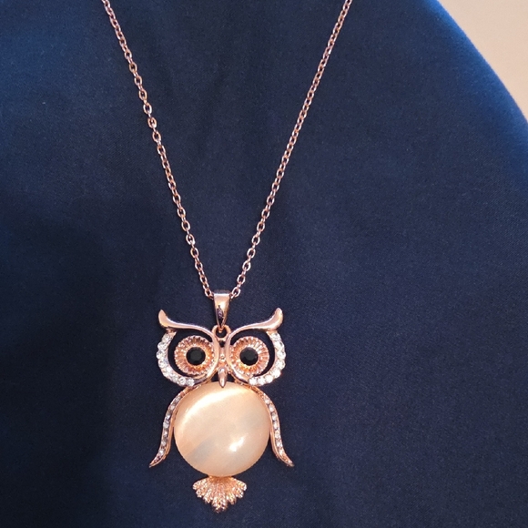 Jewelry - Elegant Owl Pendant Necklace in Rose Gold Finish